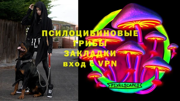 соль ск Новокубанск