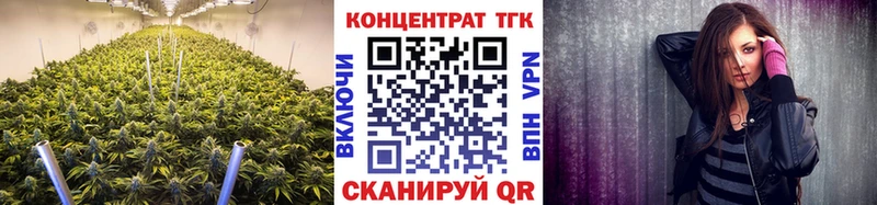 ТГК концентрат  Купить  Елизаветинская 