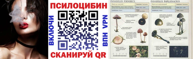 Купить закладки Елизаветинская Псилоцибиновые грибы мицелий