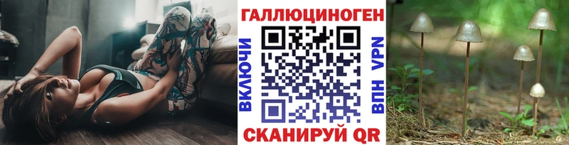 Галлюциногенные грибы Psilocybine cubensis Елизаветинская